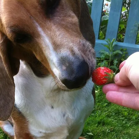 Le Clos Saint Paul 3*