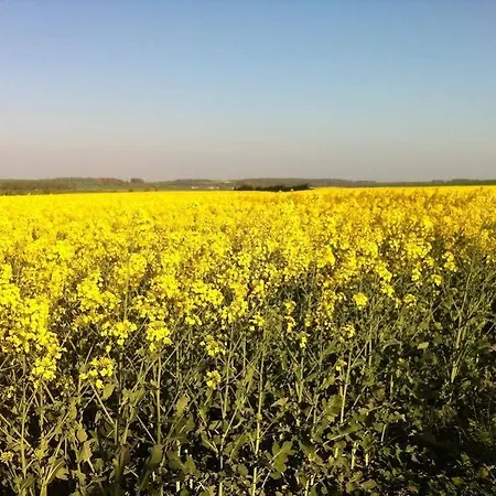 Le Clos Saint Paul Гостевой дом Tourny